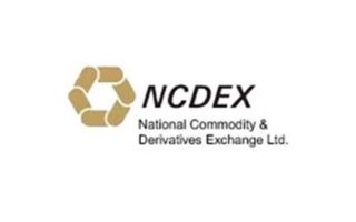 NSE Logo